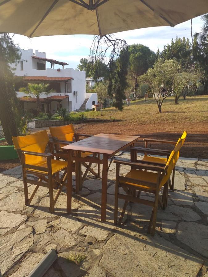 Cortessa Apartments Nikiti  Extérieur photo